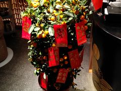 -百富怡大酒店