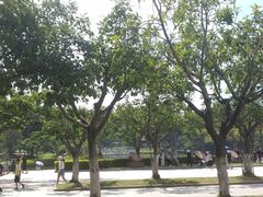 -厦门大学(思明校区)