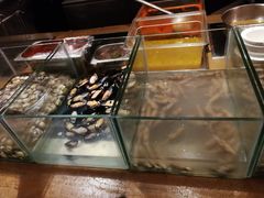 -无锡君来洲际酒店