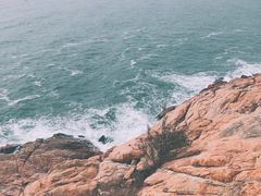 -广东惠东海龟国家级自然保护区