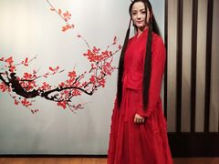 -武汉杜莎夫人蜡像馆