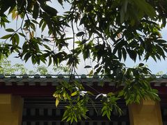 -梁启超故居纪念馆