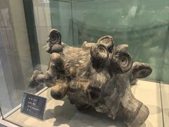 -金钉子远古世界景区