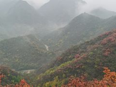 -南窖乡水峪村山情农家