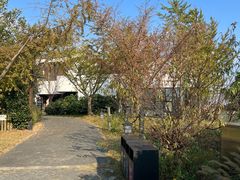 -田园东方蜜桃村的田野营地