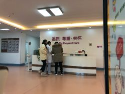 -北京安琪