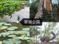 -翠湖公园