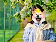 -杭州城北体育公园