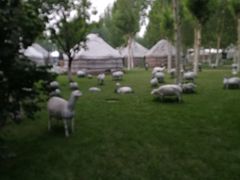 -九十九顶毡房(阜石路店)