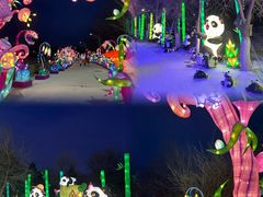 -沈阳奥体冰雪嘉年华