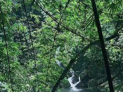 -凤栖山