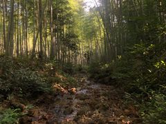 -黄公望隐居地