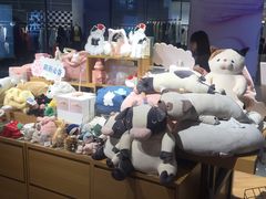 -九木杂物社(东方宝泰店)