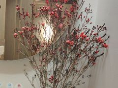 -梅花境(万科店)