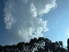 -奎星楼街