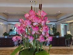 -福建鲤鱼洲酒店