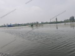 -白洋淀景区