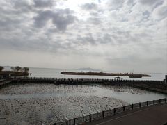 -新木器时代餐厅(太湖新天地店)