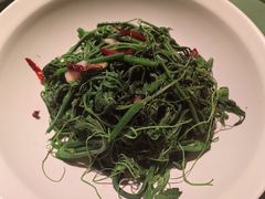 -南堂小馆·川菜馆(德商国际店)