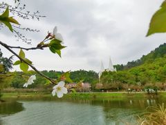 -团城山公园