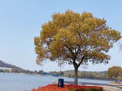 -上海月湖雕塑公园