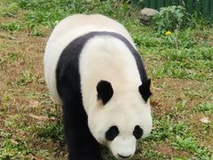 -沈阳森林动物园