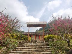 -广州市石门国家森林公园