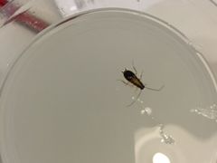 -陈记顺和潮汕牛肉火锅(番禺迎宾大道店)