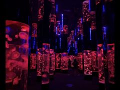 -成都浩海立方海洋公园