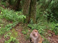-庐山风景名胜区