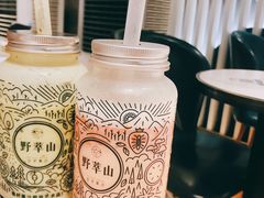 -野萃山·潮汕厚果汁(十亩地店)
