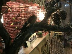 -MAX伯爵趣味互动密室逃脱(大坪D馆店)