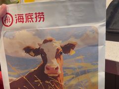 -海底捞火锅(宝龙广场夜宵主题店)