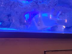 -上和臻品中国菜(花园街店)