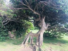 -鹅銮鼻公园