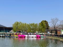 -上海长兴岛郊野公园