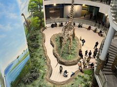 -辽宁古生物博物馆