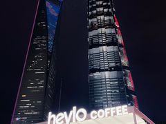 -陆家嘴中心绿地