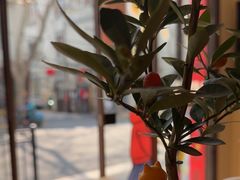 -Onirii Coffee(长乐路店)