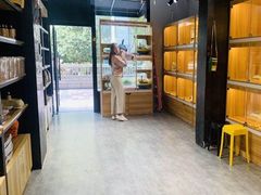 -欣宠猫屋·矮脚拿破仑·蓝金金渐层