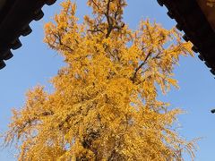 -西林禅寺