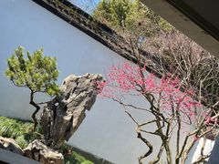 -杭州植物园