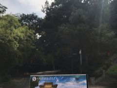 -紫金山天文台