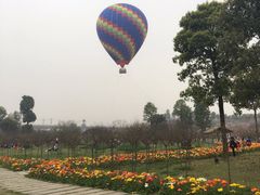 -秀丽东方