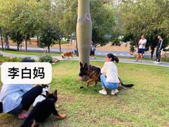 -景田北六街公园宠物主题园
