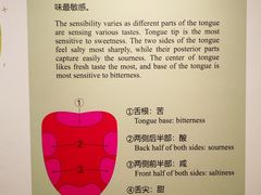 -中国茶叶博物馆(双峰馆区)