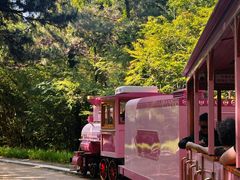 -日照海滨国家森林公园