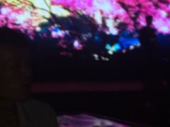 -上海圣淘沙万怡酒店