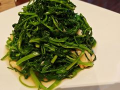 -九福楼大酒店