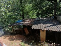 -长虫山生态公园风景林